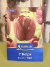 náhled Jednoduchý Tulipán - královna noci