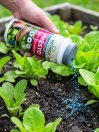náhled Přípravek NATURA PRESTO na slimáky 500 g