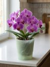 náhled Květináč COUBI ORCHID 12,5 - mat. zelený