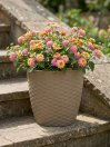náhled Květináč NATURAL 19 cm - šedohnědá