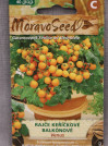 náhled Rajče keříčkové balkonové oranžové VENUS