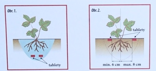 detail Silva Tabs Jahodník 250g