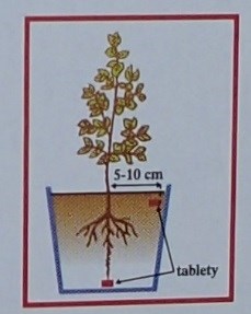 detail Silva Tabs Balkonové květiny 250g