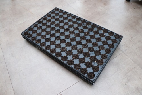 detail Sadbovač QP104RW-'pro výsev košťálovin a salátů'