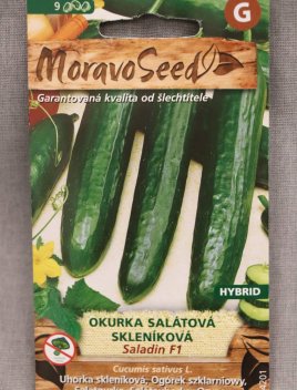 Okurka salátová skleníková SALADIN F1