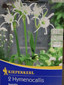 Krásná pleť Ismene