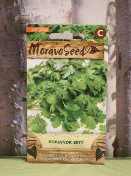 Koriandr setý