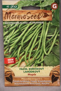 Fazol keříčkový zelený lahůdkový MAGDA