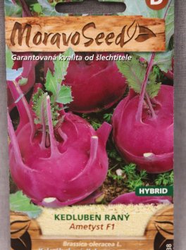 Kedluben raný modrý AMETYST F1