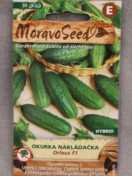 Okurka nakládačka hruboostná ORFEUS F1
