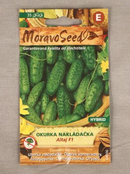 Okurka nakládačka hruboostná Altaj F1