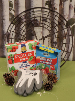 Prostředky pro pěstování jahod