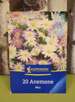 Balkánská směs sasanek