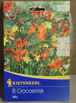 Montbrécie Mix drobnokvětá