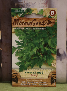 Celer listový jemný