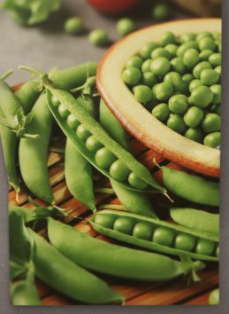 Hrách dřeňový pozdní