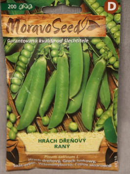 Hrách dřeňový raný