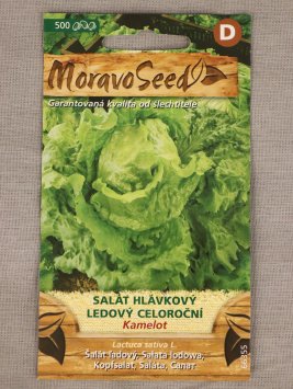 Salát hlávkový led. celor. Kamelot
