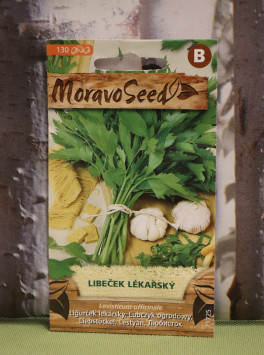 Libeček lékařský