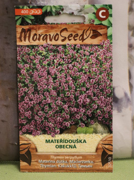 Mateřídouška obecná