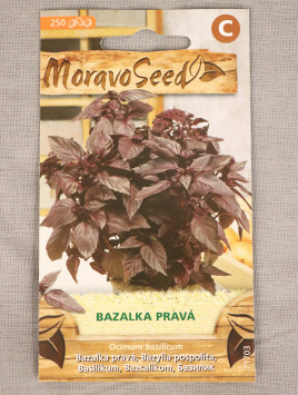 Bazalka pravá červená