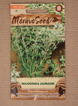 Majoránka zahradní