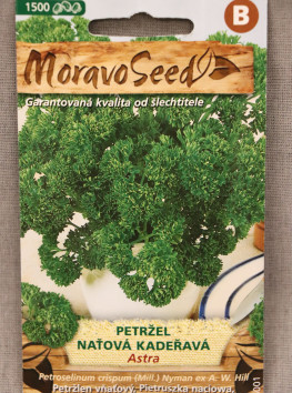 Petržel naťová kadeřavá ASTRA