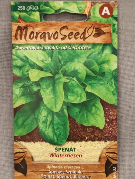 Špenát setý WINTERRIESEN