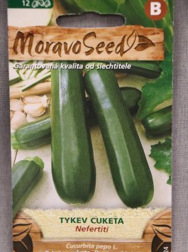 Tykev cuketa zelená NEFERTITI