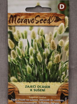 Zaječí ocásek - k sušení