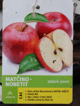 Jabloň 'Matčino' - zimní