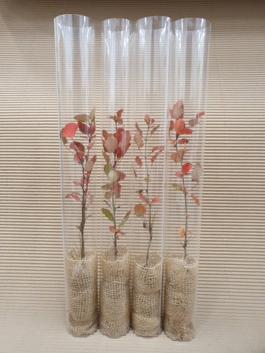 detail Plastový tubus na rostliny