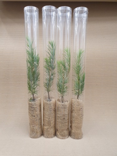 detail Plastový tubus na rostliny