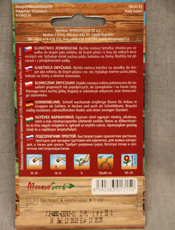 detail Slunečnice jednoduchá červená