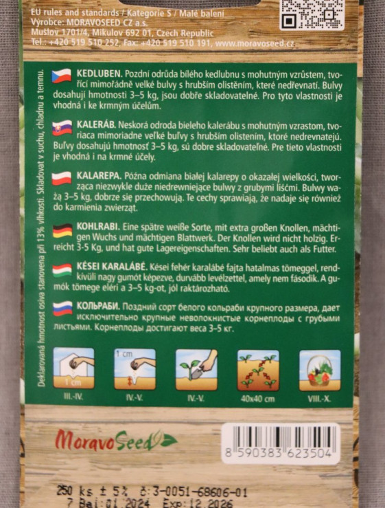 detail Kedluben pozdní bílý GIGANT