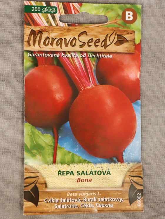 detail Řepa salátová Bona