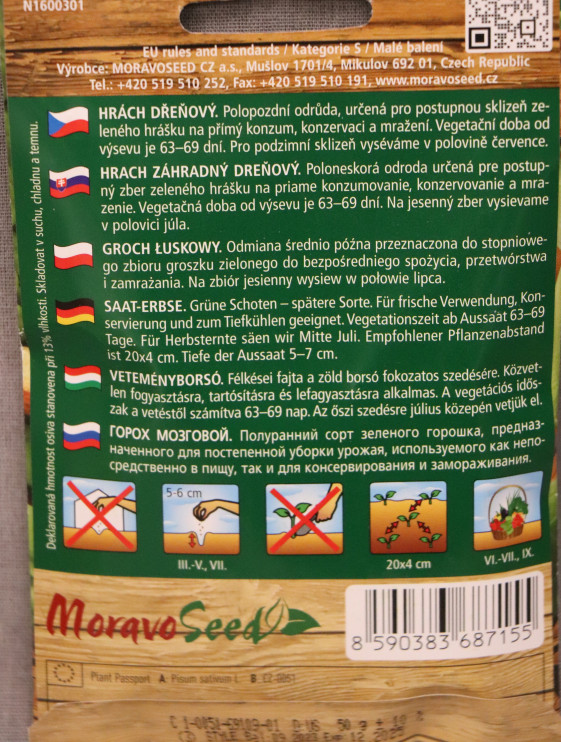 detail Hrách dřeňový pozdní