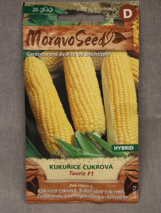 detail Kukuřice cukrová F1
