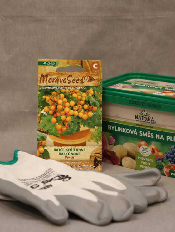 detail Rajče keříčkové balkonové oranžové VENUS