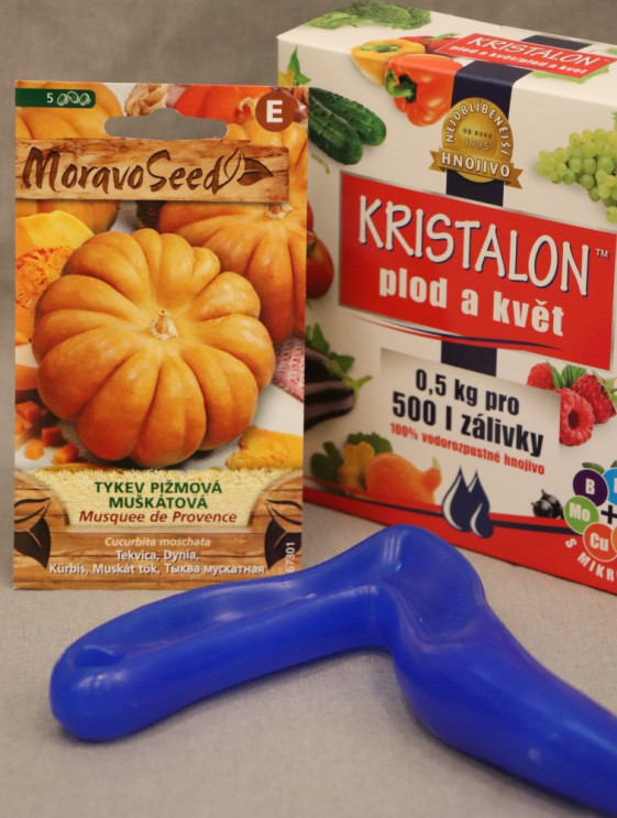 detail Tykev piž. muš. MUSQUEE DE PROVENCE