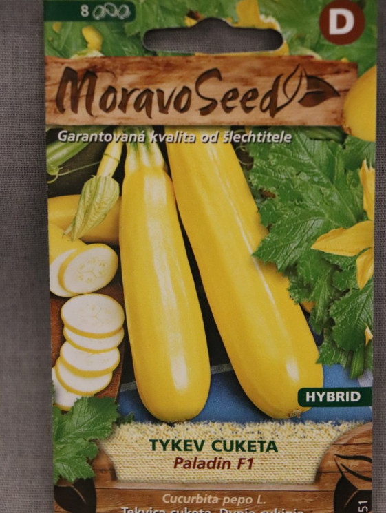 detail Tykev cuketa žlutá PALADIN F1