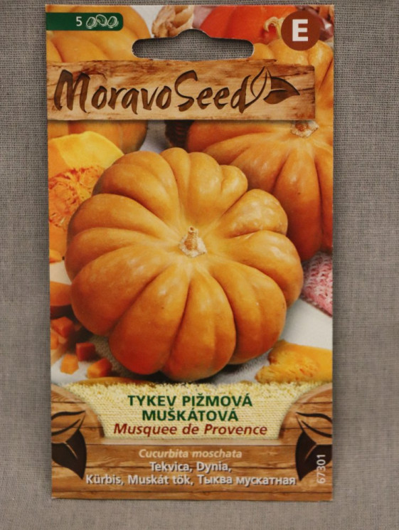 detail Tykev piž. muš. MUSQUEE DE PROVENCE