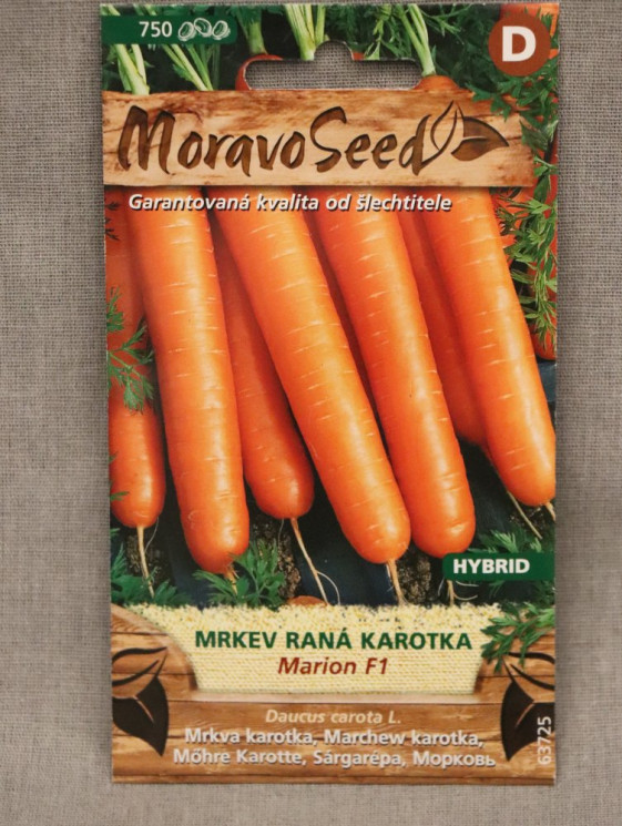 detail Mrkev raná k rychlení MARION F1