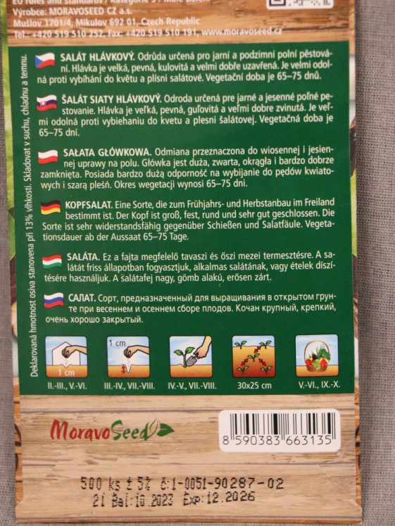 detail Salát hlávkový jarní a podzimní AMUR