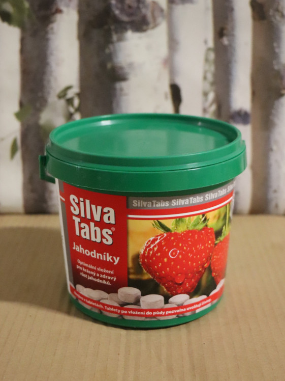 detail Silva Tabs Jahodník 1kg