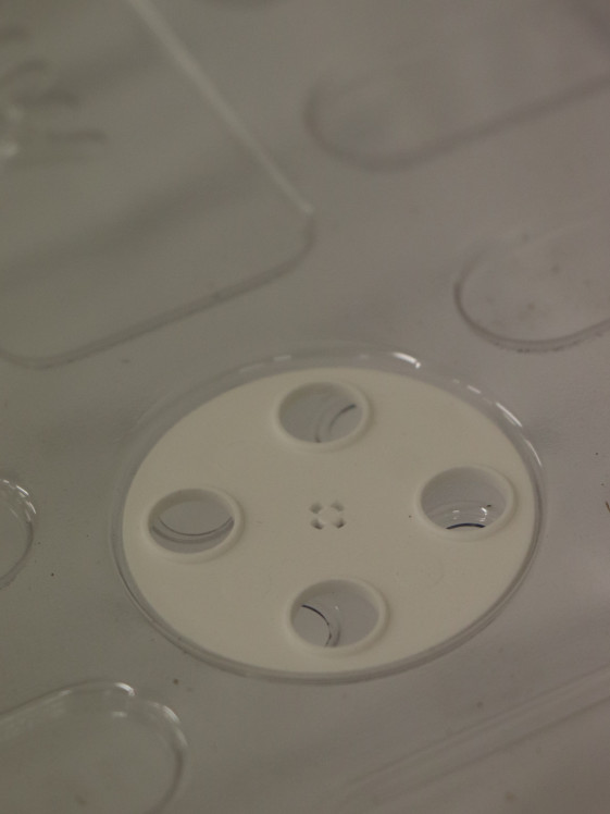 detail Minipařeniště nízké + ventilace