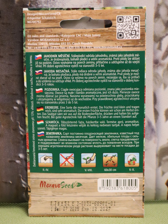 detail Jahodník měsíční