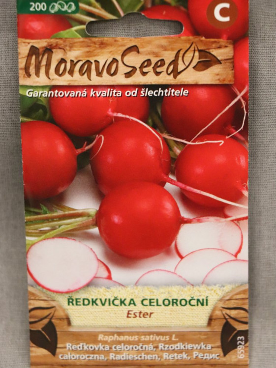 detail Ředkvička červená kulatá celoroční ESTER