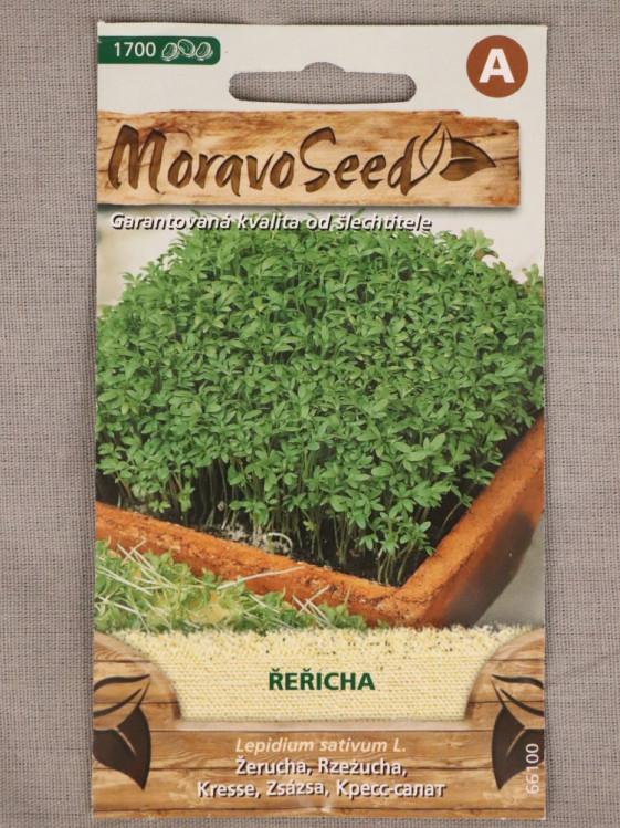 detail Řeřicha zahradní