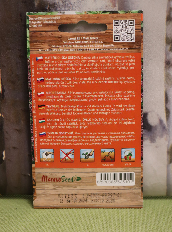 detail Mateřídouška obecná